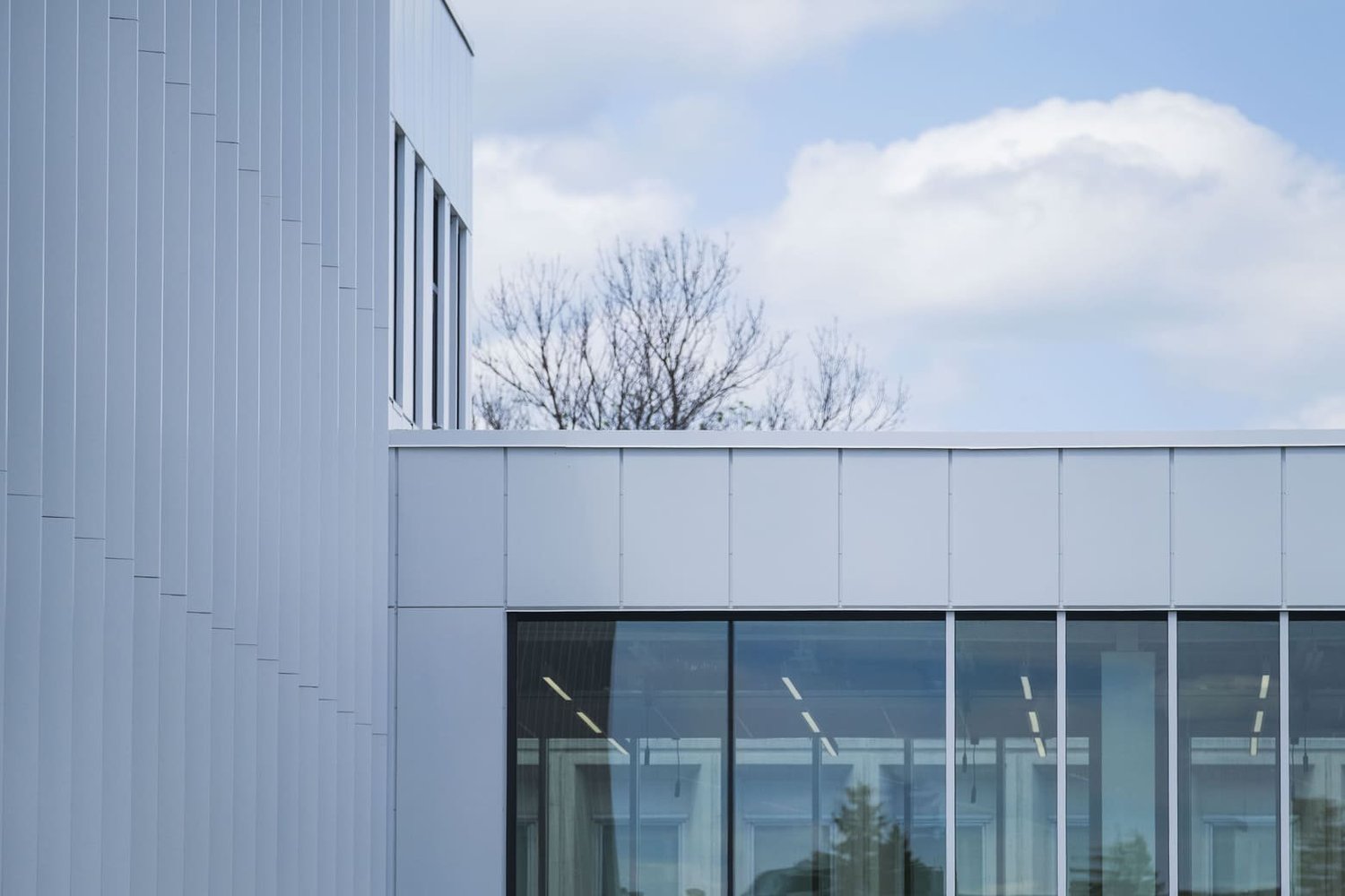École Cardinal-Roy — vue 2