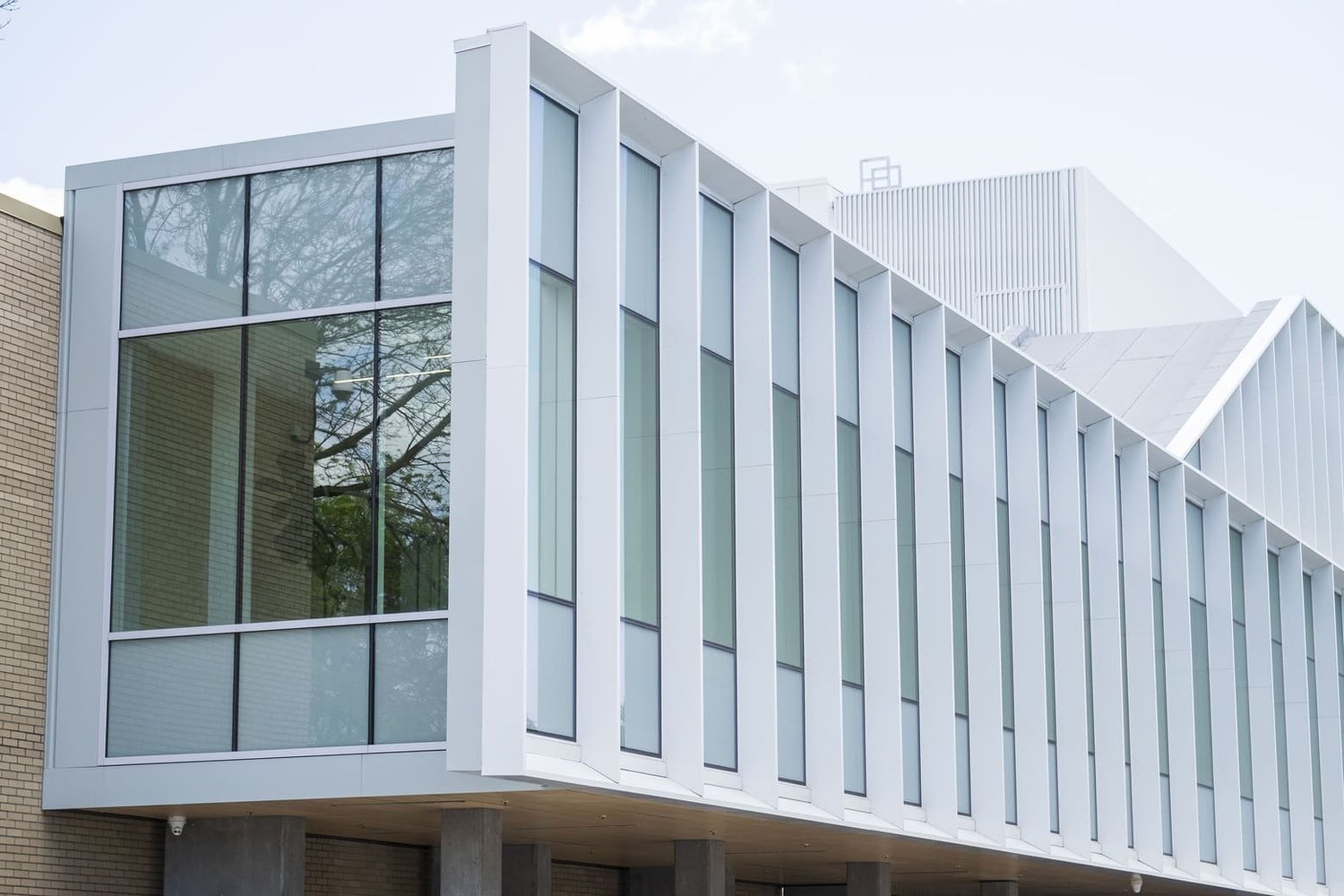 École Cardinal-Roy — vue 4
